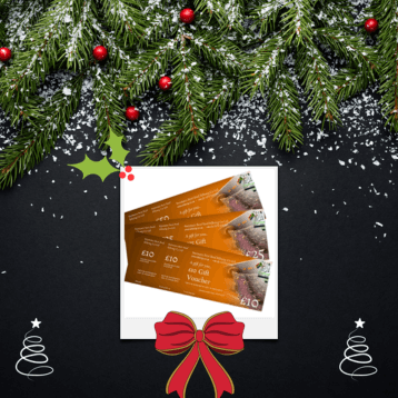 Gift Vouchers With Christmas Decorations around it and a big red bow.